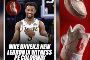 为爱子站台！詹姆斯更新社媒晒Witness IX球鞋的布朗尼专属配色